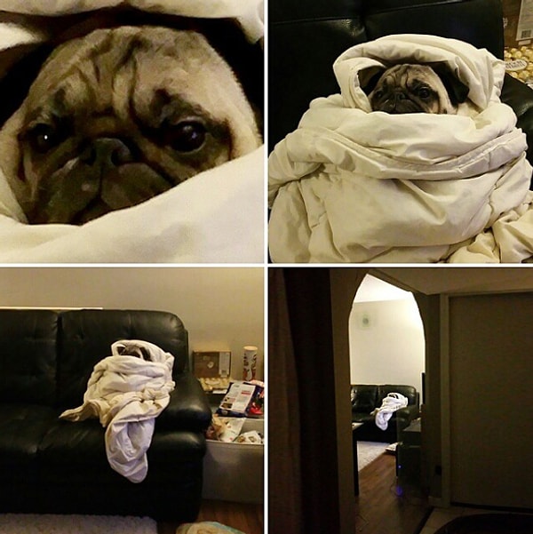 9. И те, кто перебрал и готовы провести все оставшиеся праздники в одеялке