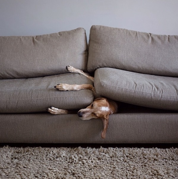 13. "Все в порядке, идите дальше, только не трогайте меня"