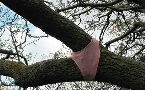 19 фото, при виде которых вы завопите "Ну, как так-то?!!"