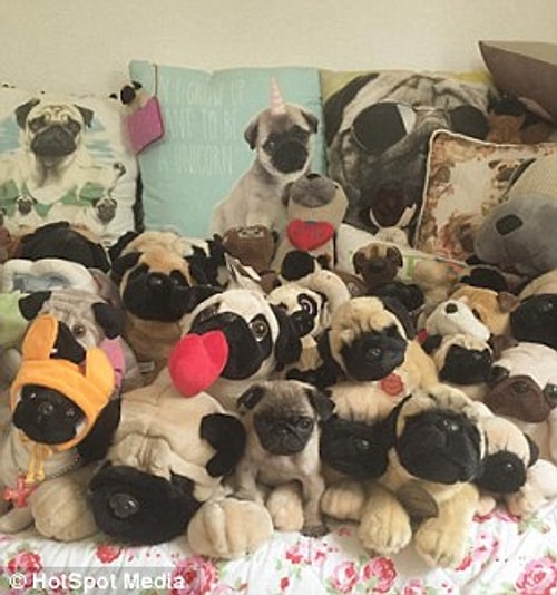 Sahiplenilmeyi bekleyen çok sayıda pug cinsi köpek olduğunu dile getiren Becca, "Benim limitim şimdilik 30" diyor.