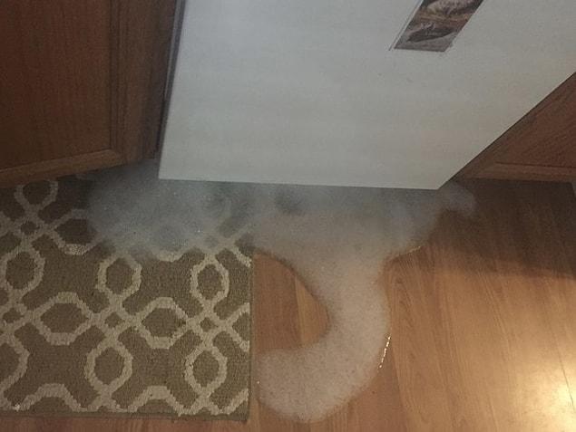 17. "I used hand soap instead of dishwasher detergent in the dishwasher. This photo was the result."