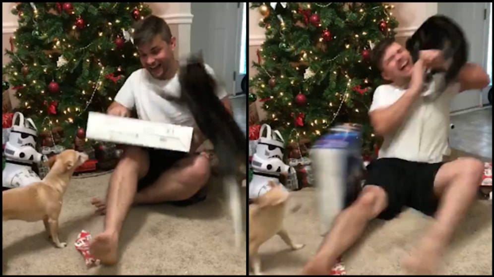 Hediye Playstation Gelince Kedinin Gazabına Uğrayan Adam