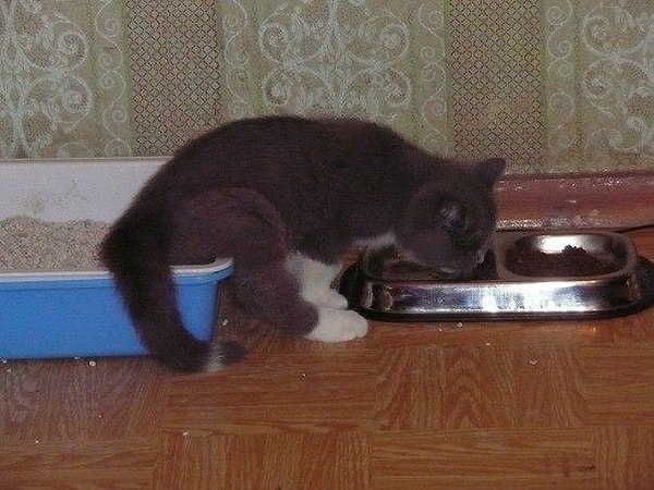 13. Новогодние праздники