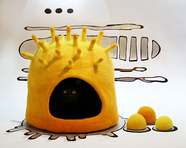 5. На обучение и оттачивание мастерства у нее ушло много усилий и времени