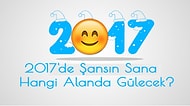 2017'de Şansın Sana Hangi Alanda Gülecek?