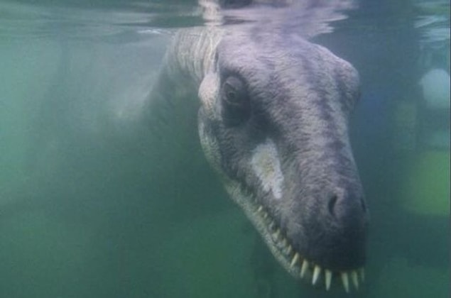 13. I didn't know dinosaurs were still alive!