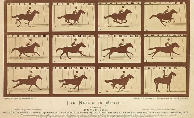 43. The Horse In Motion, Eadweard Muybridge, 1878