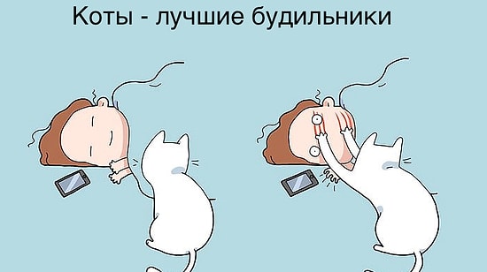 33 жизнерадостных комикса, показывающие дословно, что значит жизнь с котом