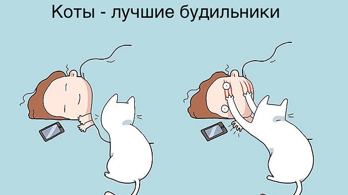 33 жизнерадостных комикса, показывающие дословно, что значит жизнь с котом