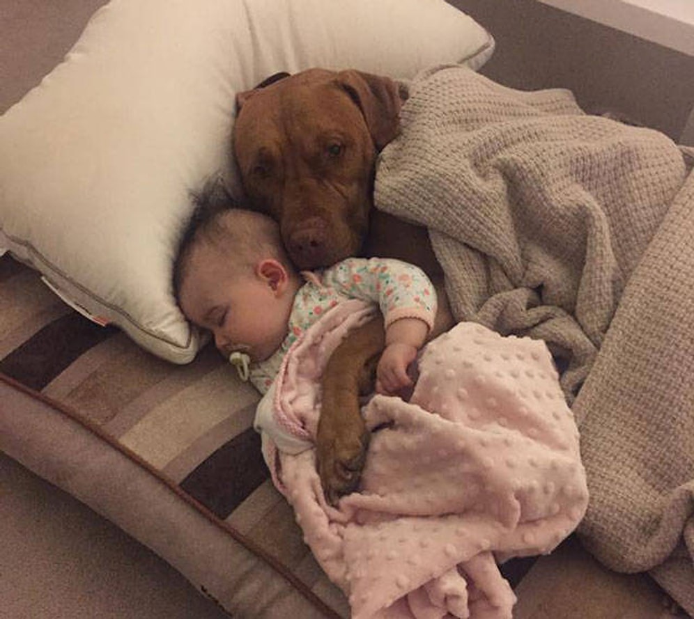 17 фоток для умилительной улыбки на вашем лице