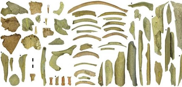 Neandertal yamyamlığına ait kanıtlar daha önce İspanya ve Fransa'da da ortaya çıkarılmıştı.