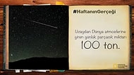 Sarı Bir Çerçevenin Ardından Dünyayı Keşfetmemizi Sağlayan NatGeo'dan 33 İlginç Gerçek