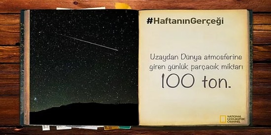 Sarı Bir Çerçevenin Ardından Dünyayı Keşfetmemizi Sağlayan NatGeo'dan 33 İlginç Gerçek