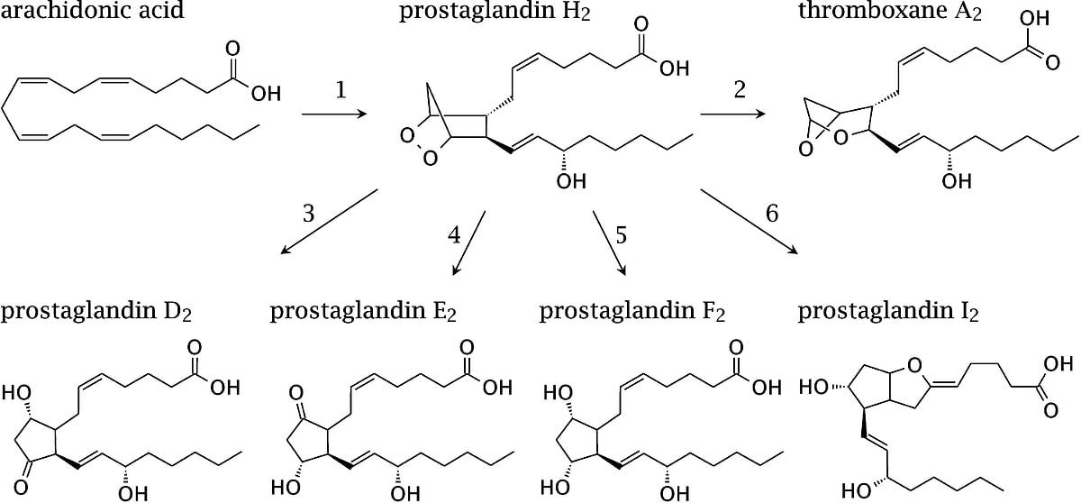 Простогландин. Простагландин d3 строение. Простагландин н2. Простагландин е2 и простагландин е1. Простагландин е1 механизм.