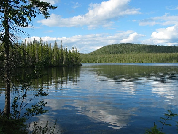 9. Лапландский заповедник