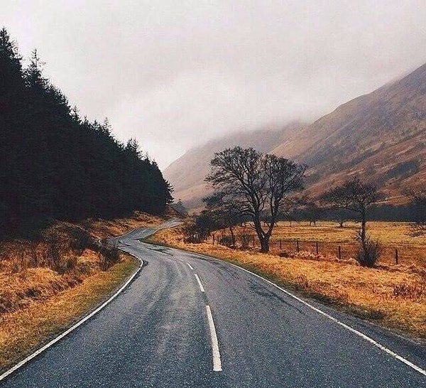 14. Сдаться в начале пути - это слабость. Сдаться в середине - глупость. Поэтому либо не начинай путь, либо иди до конца.