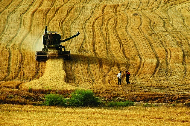 Son 27 yılda 4 milyon hektarlık tarım alanı yok oldu...
