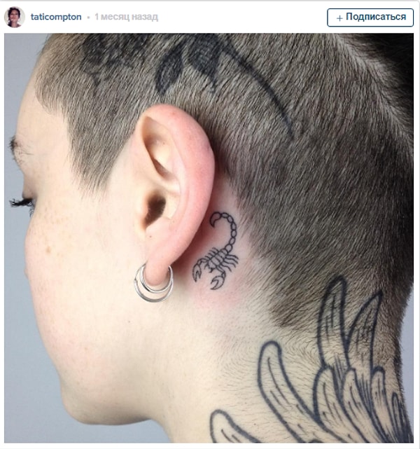 14. Спрятавшийся скорпион