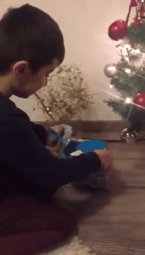 Garibim iç içe girmiş paketleri şevkle açıyor, açıyor, sonuç hüsran...