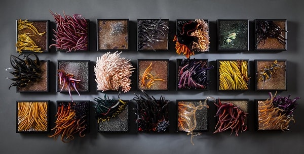 21. Шайна Лейб