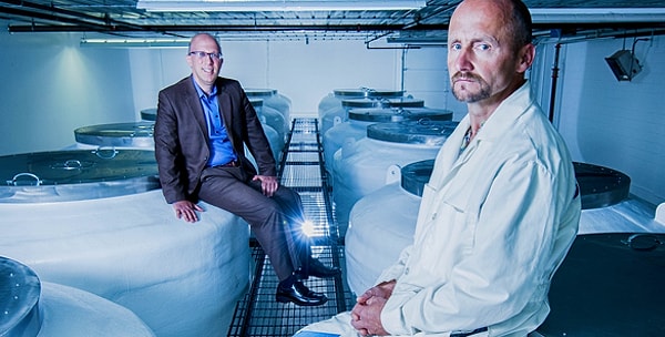 8. Внесло свою лепту и правительство