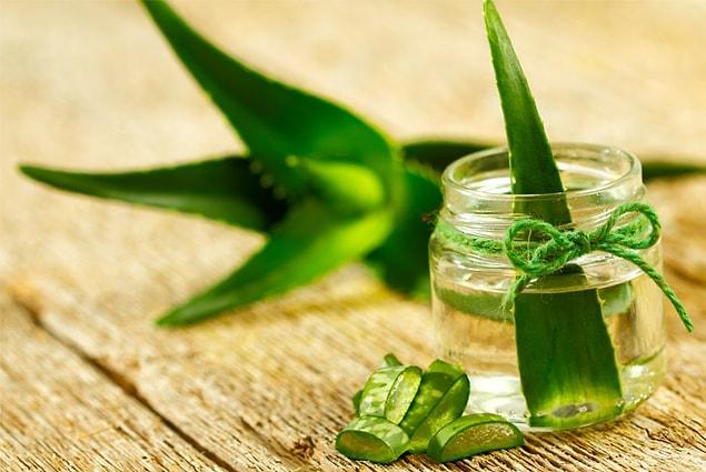 11. We really have to use more aloe vera in our daily lives.