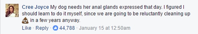 Needless to say, the trolls came from far and wide.