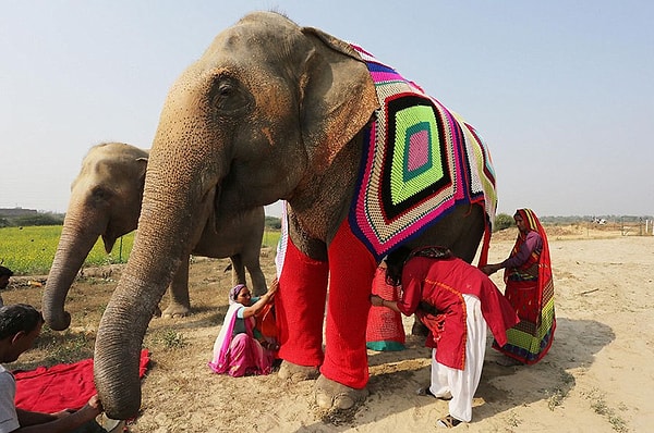 4. Они не только стараются сделать свитера как можно более теплыми, они еще и вывязывают всевозможные яркие узоры!