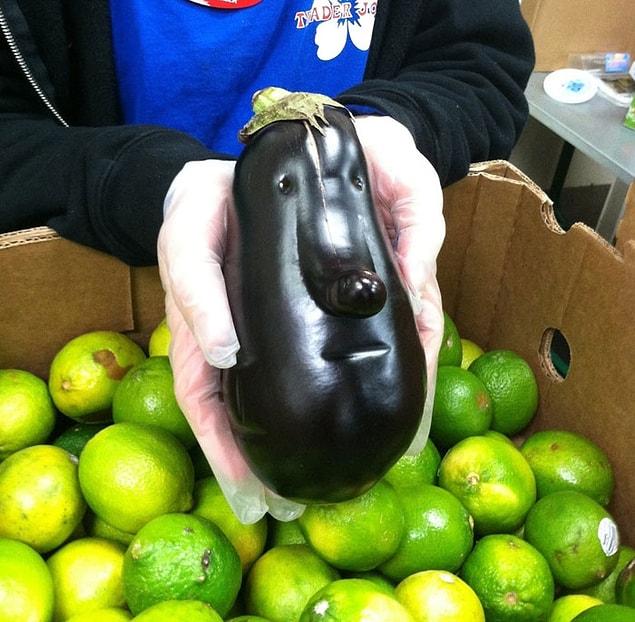 13. Why the long face, eggplant? Why the face, at all?