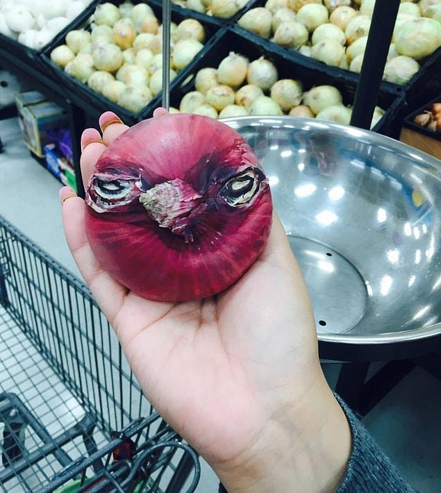 15. Can onion angry birds fly?