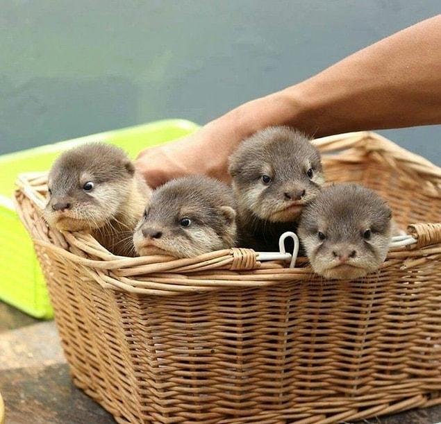 You otter see what these guys are up to.