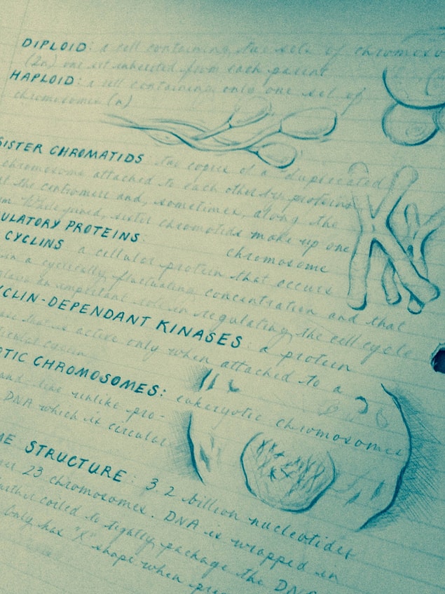 6. We all have that one student who keeps perfect notes in class.