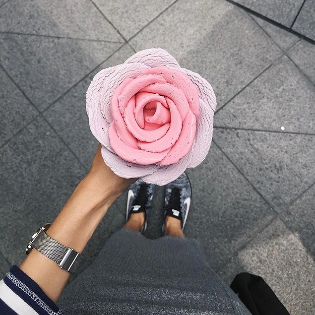 Bu fotoğrafın kaç like alabileceğini bir düşünsenize!