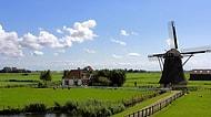 Tarımın Küçük Dev Ülkesi: 15 Maddede Hollanda'nın Tarımsal Başarısının Sırrını Açıklıyoruz!