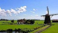 Tarımın Küçük Dev Ülkesi: 15 Maddede Hollanda'nın Tarımsal Başarısının Sırrını Açıklıyoruz!