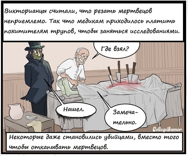 6. Похититель трупов