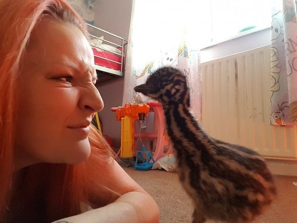 1. Малыш Кевин — новый член семьи Шарлотты Харрисон