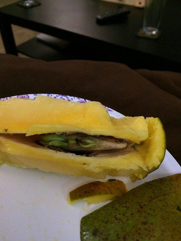 16. Filizlenmiş mango.