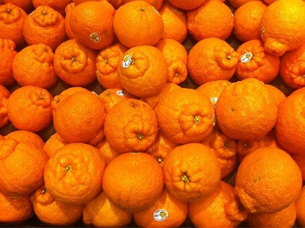 19. Şekilleri (hepimiz neye benzediğini biliyoruz şimdi) böyle olan portakallar: