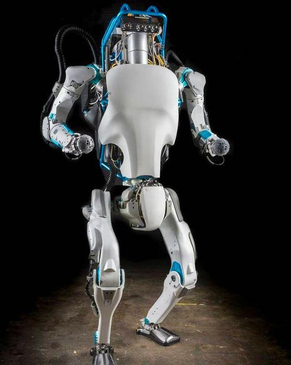 Human-Like Robots