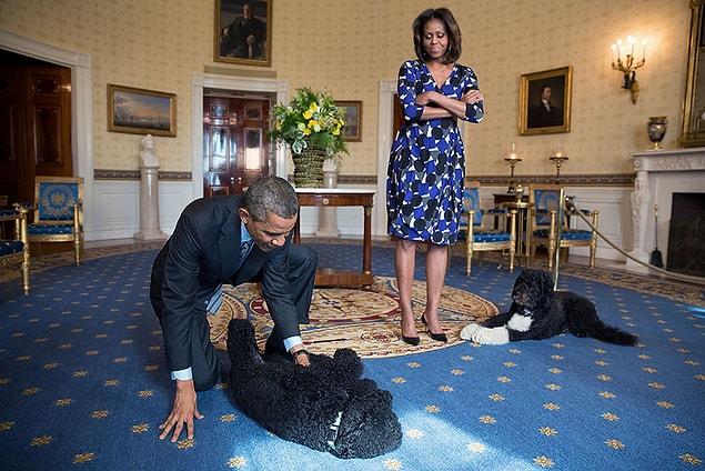 6. Sunny and Bo, the little friends of Obamas, are too waiting for the visitors to tour the White House. November, 5th, 2013