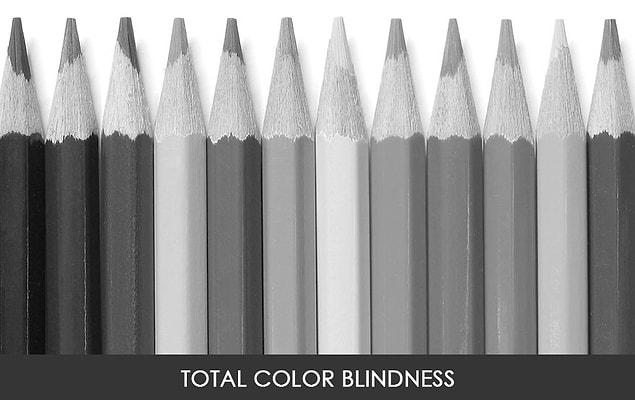 Total color blindness (Monochromacy)
