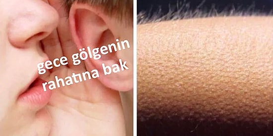 Mizahıyla Tüyleri Diken Diken Eden Akımdan 13 Komik Caps