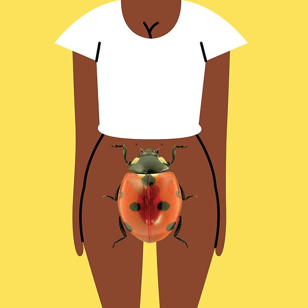 6. Никарагуа — "Bicho" — Жук