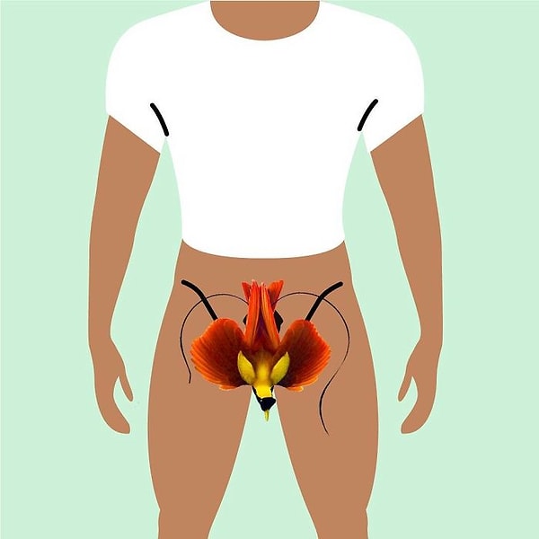 18. Индонезия — "Burung" — Птица