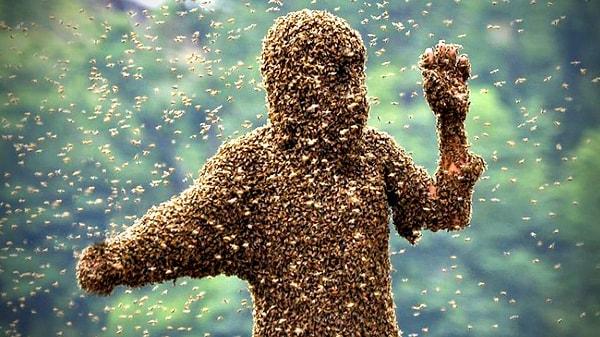Arıların dünya genelinde her yıl sebep olduğu ölüm sayısı ise 53.