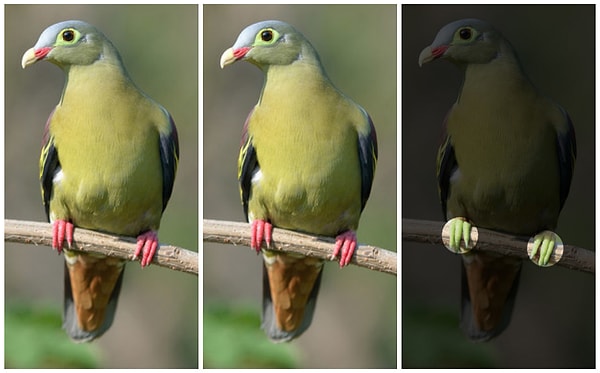 Показать правильный ответ