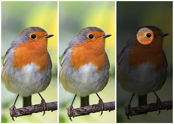 Показать правильный ответ