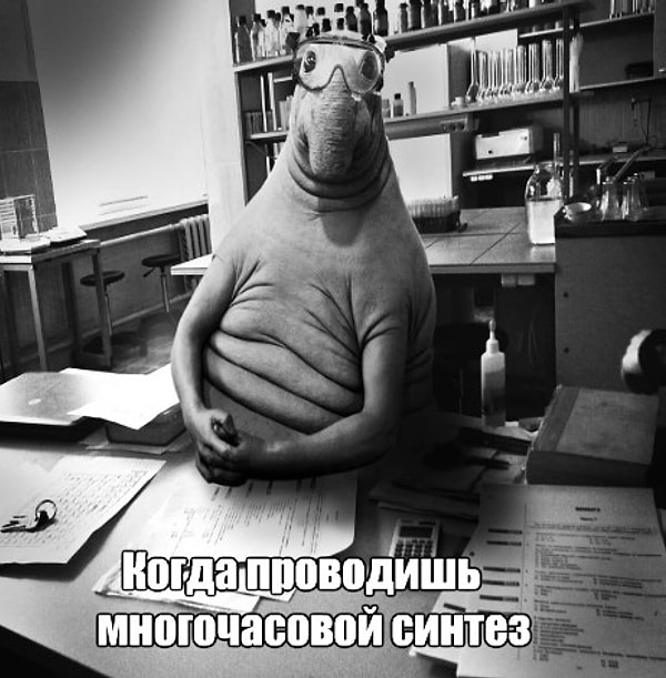 11. У химиков тоже есть свой Ждун: