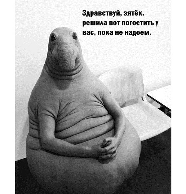 5. Так, на полгода, может, больше: